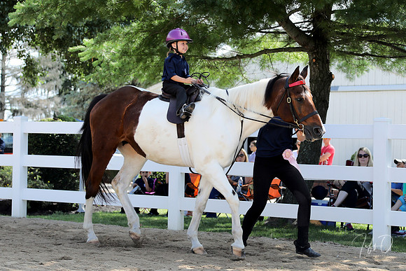 6/24/2018 CCEC Horse Show & Open House | Sunday Early Morning Classes