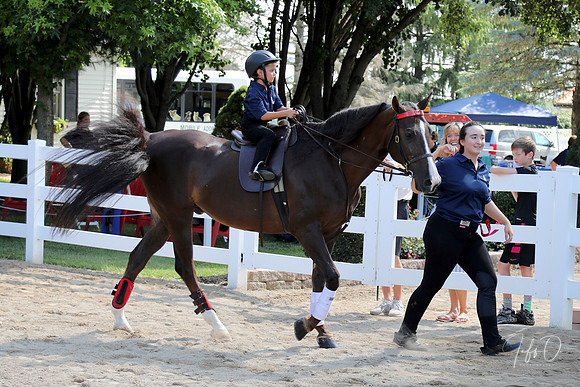 6/24/2018 CCEC Horse Show & Open House | Sunday Early Morning Classes