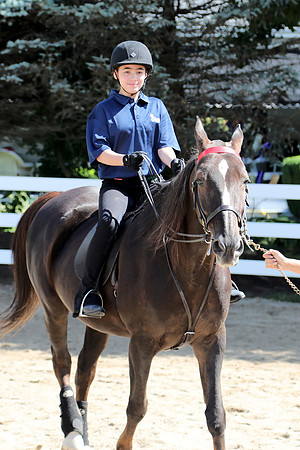 6/24/2018 CCEC Horse Show & Open House | Sunday Early Morning Classes