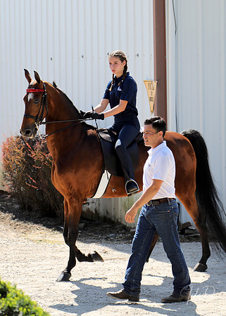 6/24/2018 CCEC Horse Show & Open House | Sunday Early Morning Classes