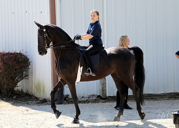 6/24/2018 CCEC Horse Show & Open House | Sunday Early Morning Classes