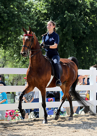 6/24/2018 CCEC Horse Show & Open House | Sunday Early Morning Classes