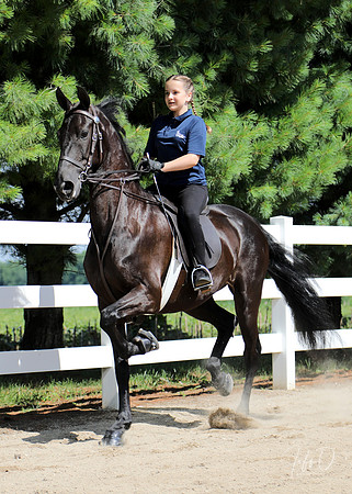 6/24/2018 CCEC Horse Show & Open House | Sunday Early Morning Classes