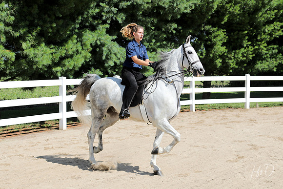 6/24/2018 CCEC Horse Show & Open House | Sunday Early Morning Classes