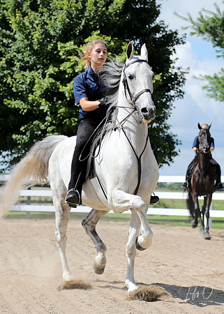 6/24/2018 CCEC Horse Show & Open House | Sunday Early Morning Classes