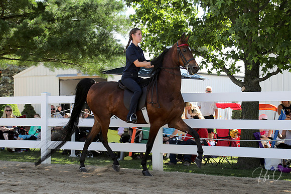 6/24/2018 CCEC Horse Show & Open House | Sunday Early Morning Classes