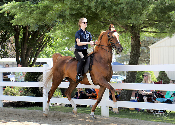 6/24/2018 CCEC Horse Show & Open House | Sunday Early Morning Classes