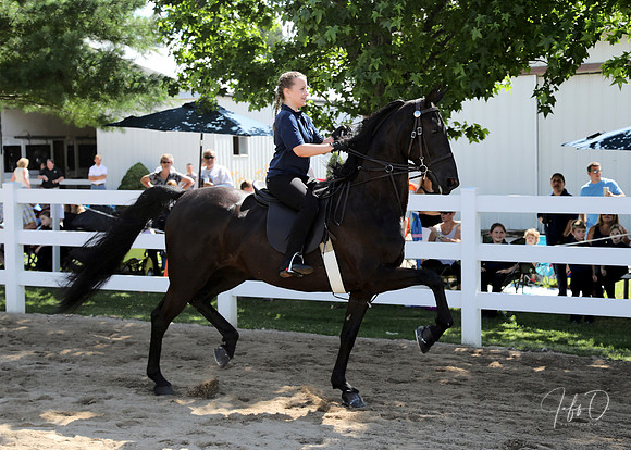 6/24/2018 CCEC Horse Show & Open House | Sunday Early Morning Classes