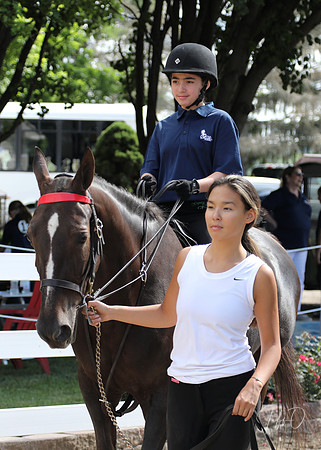 6/24/2018 CCEC Horse Show & Open House | Sunday Early Morning Classes