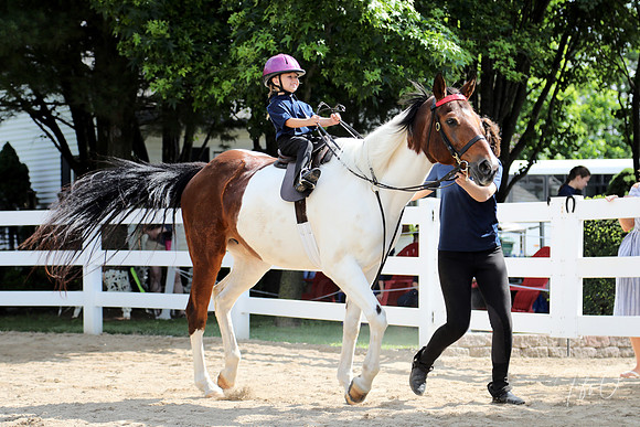 6/24/2018 CCEC Horse Show & Open House | Sunday Early Morning Classes