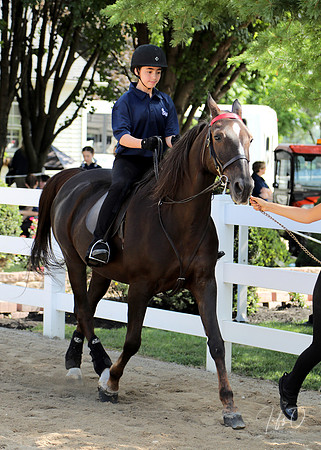 6/24/2018 CCEC Horse Show & Open House | Sunday Early Morning Classes