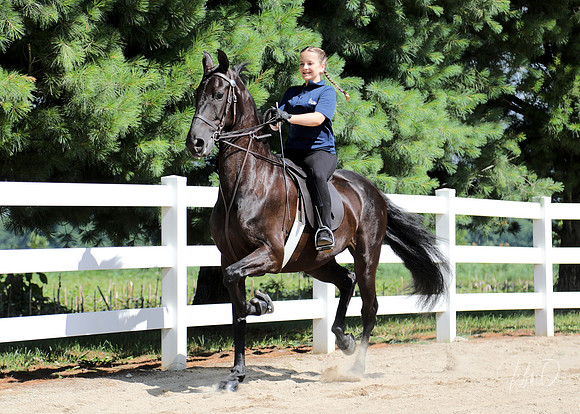 6/24/2018 CCEC Horse Show & Open House | Sunday Early Morning Classes