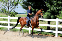 6/24/2018 CCEC Horse Show & Open House | Sunday Late Morning Classes