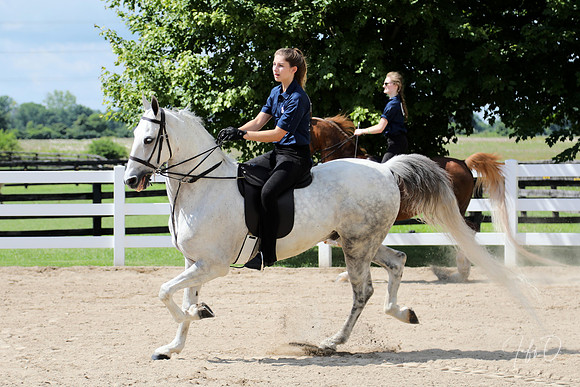 6/24/2018 CCEC Horse Show & Open House | Sunday Late Morning Classes