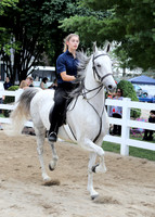 6/24/2018 CCEC Horse Show & Open House | Sunday Late Morning Classes