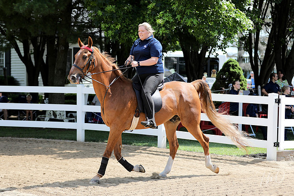 6/24/2018 CCEC Horse Show & Open House | Sunday Late Morning Classes