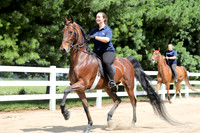 6/24/2018 CCEC Horse Show & Open House | Sunday Late Morning Classes
