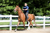 6/24/2018 CCEC Horse Show & Open House | Sunday Late Morning Classes