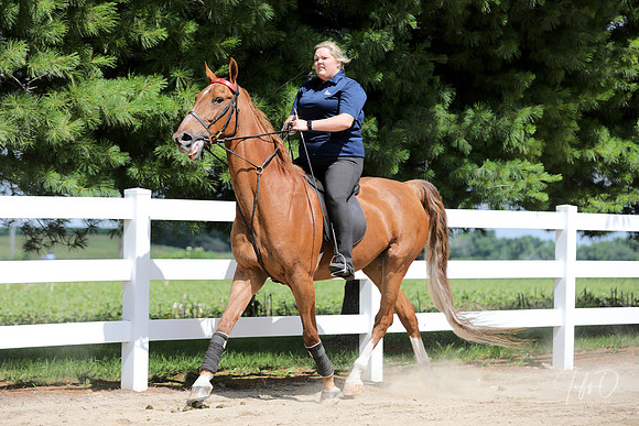 6/24/2018 CCEC Horse Show & Open House | Sunday Late Morning Classes