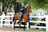 6/24/2018 CCEC Horse Show & Open House | Sunday Late Morning Classes