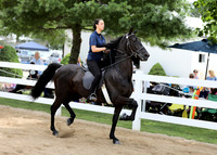 6/24/2018 CCEC Horse Show & Open House | Sunday Late Morning Classes