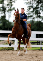 6/24/2018 CCEC Horse Show & Open House | Sunday Late Morning Classes