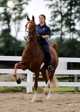 6/24/2018 CCEC Horse Show & Open House | Sunday Late Morning Classes