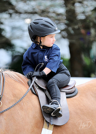 6/24/2018 CCEC Horse Show & Open House | Sunday Late Morning Classes