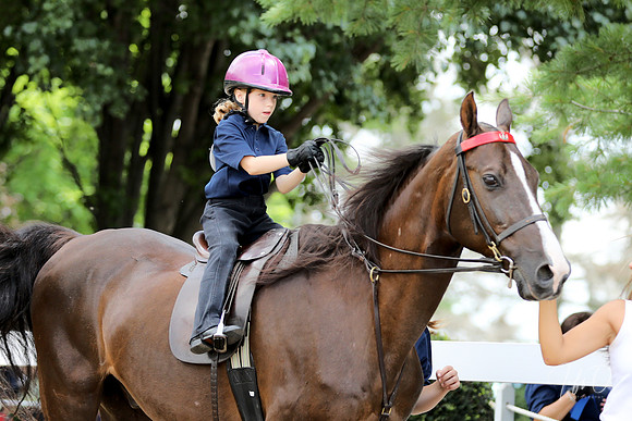 6/24/2018 CCEC Horse Show & Open House | Sunday Late Morning Classes