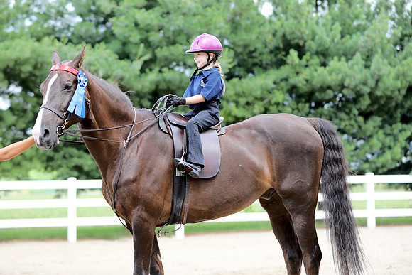 6/24/2018 CCEC Horse Show & Open House | Sunday Late Morning Classes