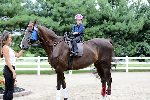 6/24/2018 CCEC Horse Show & Open House | Sunday Late Morning Classes