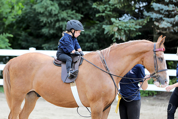6/24/2018 CCEC Horse Show & Open House | Sunday Late Morning Classes