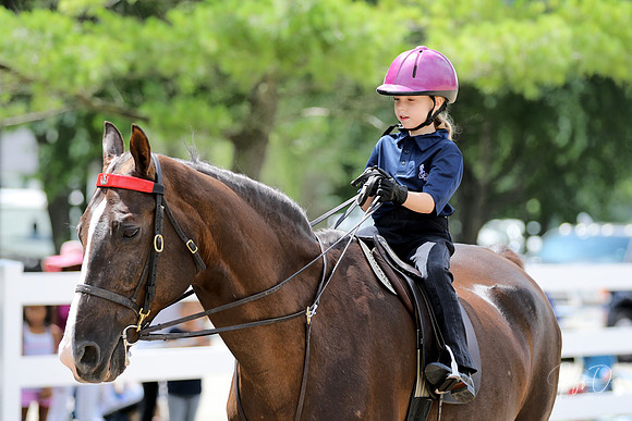 6/24/2018 CCEC Horse Show & Open House | Sunday Late Morning Classes