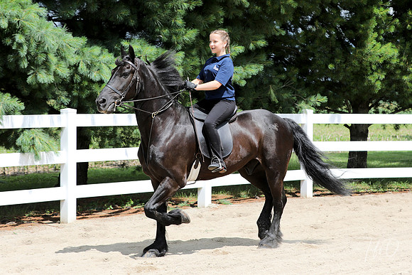 6/24/2018 CCEC Horse Show & Open House | Sunday Late Morning Classes