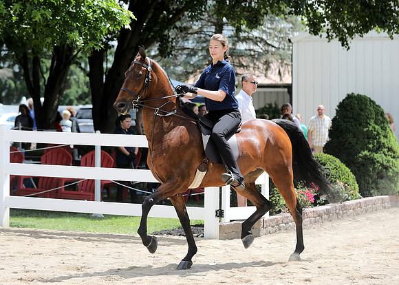 6/24/2018 CCEC Horse Show & Open House | Sunday Late Morning Classes