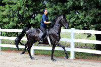 6/24/2018 CCEC Horse Show & Open House | Sunday Late Morning Classes
