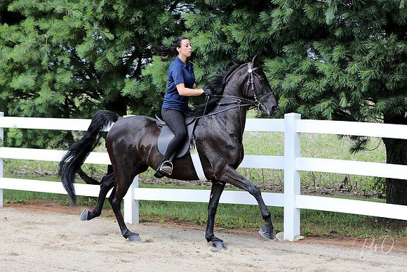 6/24/2018 CCEC Horse Show & Open House | Sunday Late Morning Classes