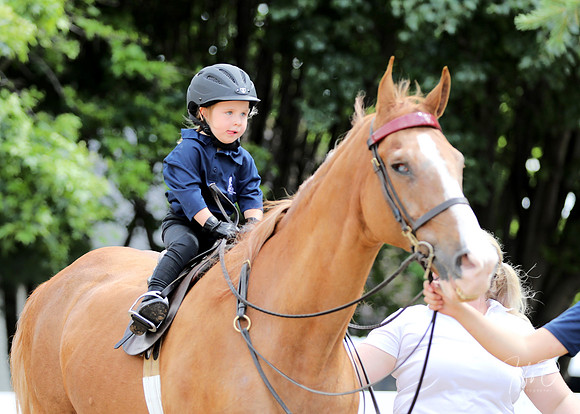 6/24/2018 CCEC Horse Show & Open House | Sunday Late Morning Classes