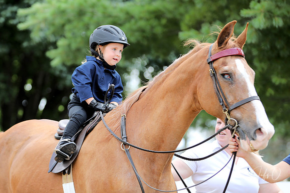 6/24/2018 CCEC Horse Show & Open House | Sunday Late Morning Classes