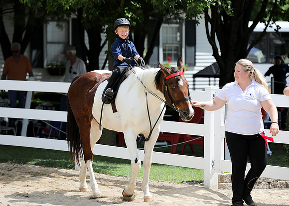 6/24/2018 CCEC Horse Show & Open House | Sunday Late Morning Classes