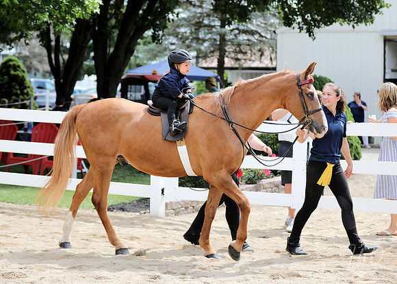 6/24/2018 CCEC Horse Show & Open House | Sunday Late Morning Classes