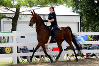 6/24/2018 CCEC Horse Show & Open House | Sunday Late Morning Classes