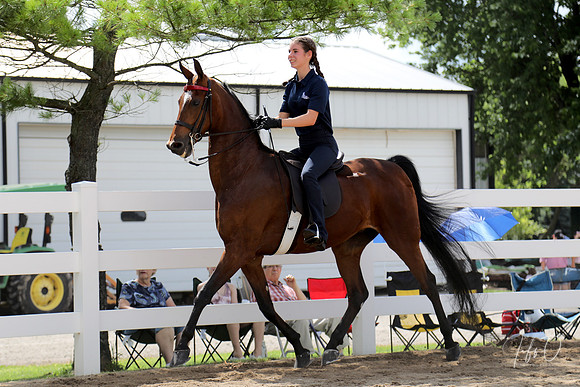 6/24/2018 CCEC Horse Show & Open House | Sunday Late Morning Classes