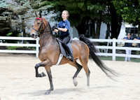 6/24/2018 CCEC Horse Show & Open House | Sunday Early Afternoon Classes