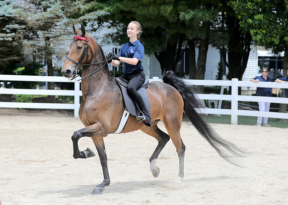 6/24/2018 CCEC Horse Show & Open House | Sunday Early Afternoon Classes