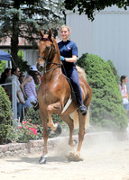 6/24/2018 CCEC Horse Show & Open House | Sunday Early Afternoon Classes