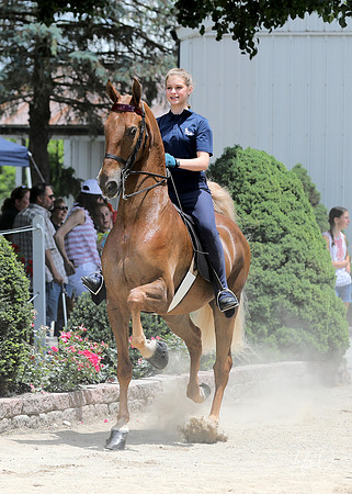 6/24/2018 CCEC Horse Show & Open House | Sunday Early Afternoon Classes
