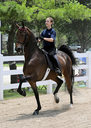 6/24/2018 CCEC Horse Show & Open House | Sunday Early Afternoon Classes