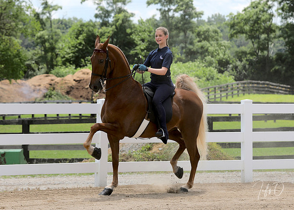 6/24/2018 CCEC Horse Show & Open House | Sunday Early Afternoon Classes