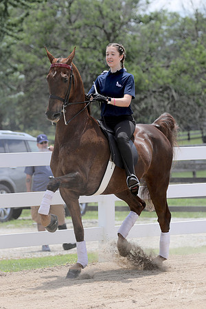 6/24/2018 CCEC Horse Show & Open House | Sunday Early Afternoon Classes